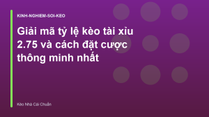 Read more about the article Giải mã tỷ lệ kèo tài xỉu 2.75 và cách đặt cược thông minh nhất